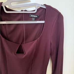 Express Women's Deep Purple Long Sleeve Bodysuit